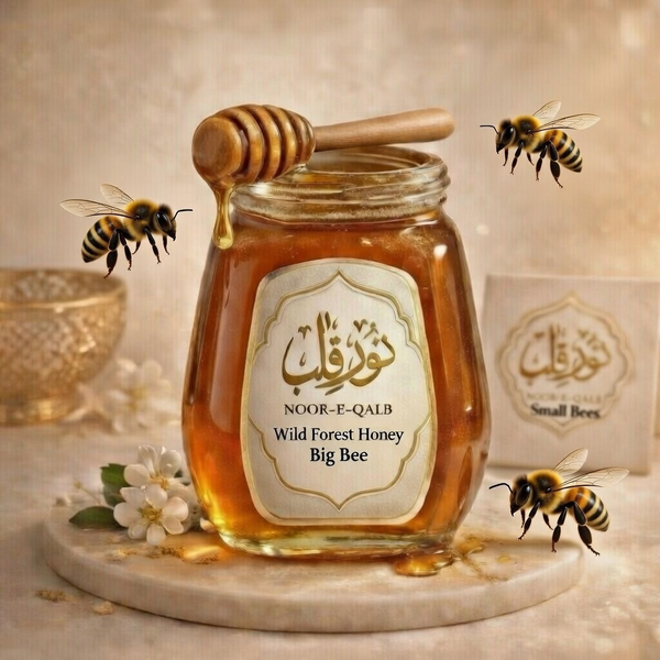 Wild Forest Honey Big Bee